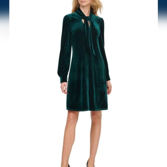 green velvet calvin klein dress Velvet Long Sleeve Corset Mini Dress in Emerald Green - 4 main image 1